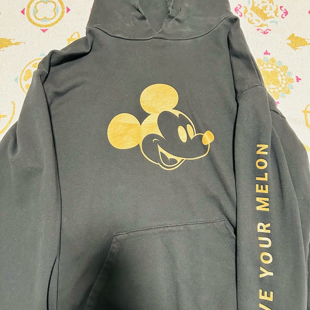 Love Your Melon Disney hoodie